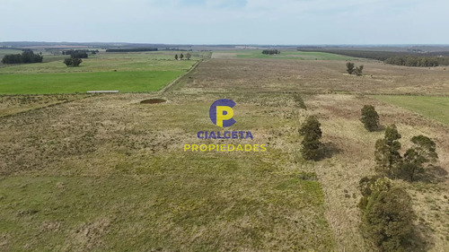 3 Hectáreas En Noya, Departamento De Canelones
