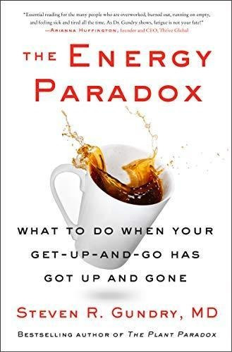 The Energy Paradox (libro En Inglés)