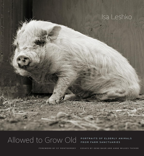 Libro: Se Permite Envejecer: Retratos De Animales Ancianos D