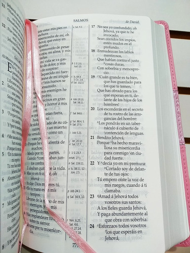 Biblia Rvr1909 (antigua) Letra Grande Imitación Piel Rosa