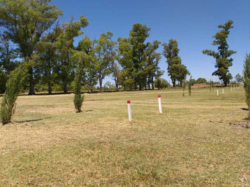 Imagen 7 de 14 de Venta Lotes + Proyecto - Navarro - Financiación