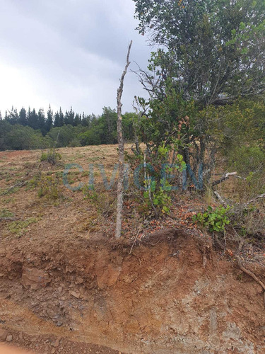 Tranquila Parcela 0,5ha Tranquilidad (92297)