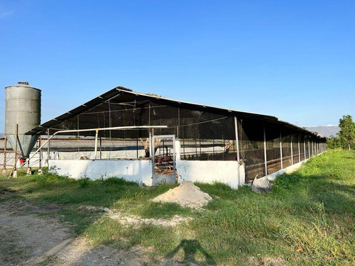 Imagen 14 de 15 de Rp Vende Finca Granja Avícola, Miranda, Estado Carabobo Rp 185.862