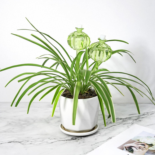 2 Globos Para Regar Plantas, Dispositivos De Riego De Vidrio