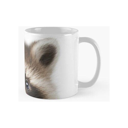 Taza Adorable Baby Raccoon Print Para Decoración De Guarderí