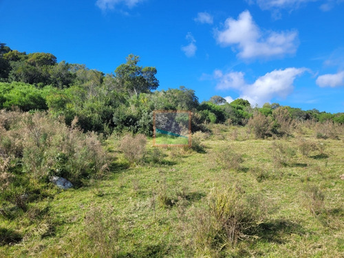 Imagen 21 de 22 de Campo Turístico 145hás En Zona De Pan De Azúcar