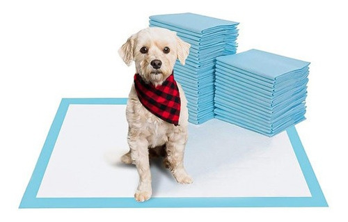 120 Pañales Tipo Sabanillas Mascotas Perros Y Gatos 60x60cm