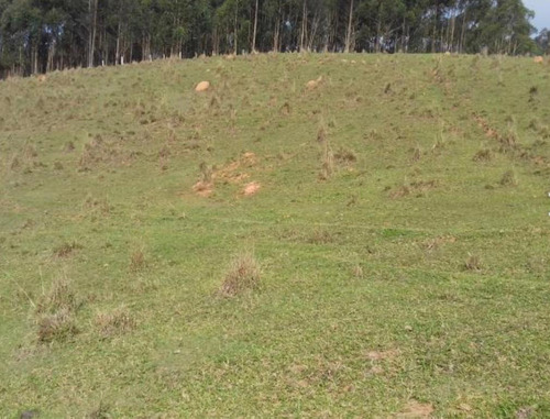 Imagem 10 de 14 de 54ne- Terreno 1000m2 R$40.000 Mil -localização Na Descrição
