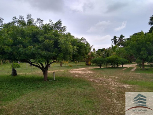 Granja A Venda Em Tibau Do Sul