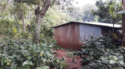 Imagen 6 de 7 de Casa De 26mts 22mts Ubicada Antes De Llegar A La Dalia