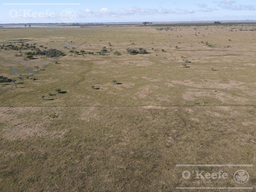 Imagen 11 de 27 de Campo De 600 Has En Venta En Gualeguaychu - Muy Buen Campo Ganadero De 0,7 Ev/ha Con Casco
