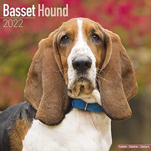 Libro: Basset Hound Calendar Dog Breed Calendars Calendarios