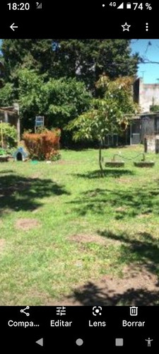 Imagen 2 de 5 de Guardería Canina En Villa Devoto