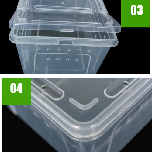 Container Aquático 1 X Largo Grande
