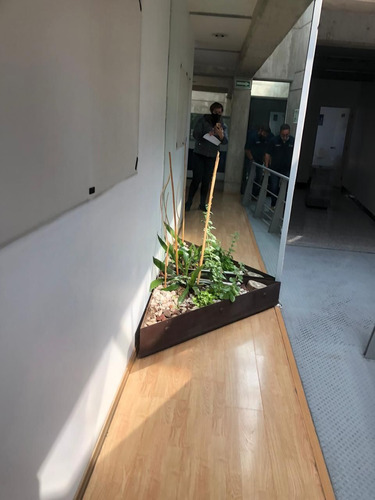 En Renta Oficina Avenida Toluca