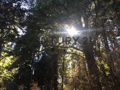 Imagen 2 de 15 de Lote En Venta - Bariloche - Zona Llao Llao - Id:15240
