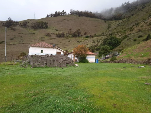 Finca En Venta, Mérida La Molendera