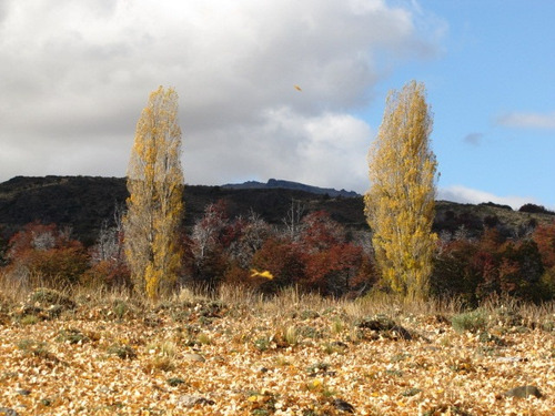 Lote Cholila Chubut Usd 25.000.- Villa Ecosustentable
