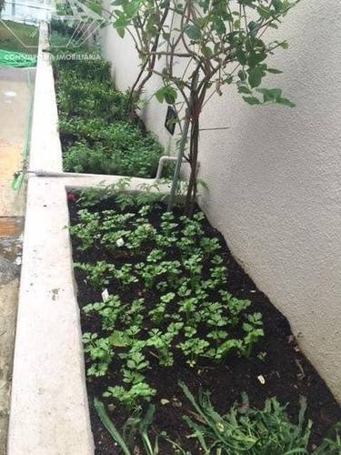 Imagem 26 de 27 de Apartamento - Ap01058 - 69388741