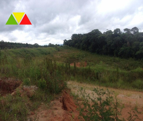 Imagem 6 de 11 de Área Industrial À Venda, Costeira, Araucária. - Ar00013 - 34982649
