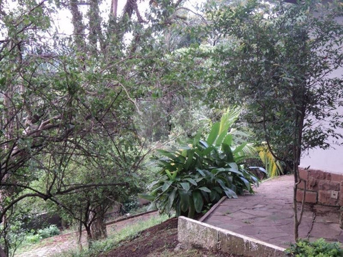 Imagem 11 de 30 de Terreno Para Incorporação - 5500 Metros - Nova Cantareira - Tucuruvi - Reo55184