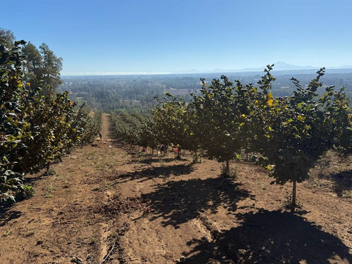 Agrícola En Venta En Gorbea