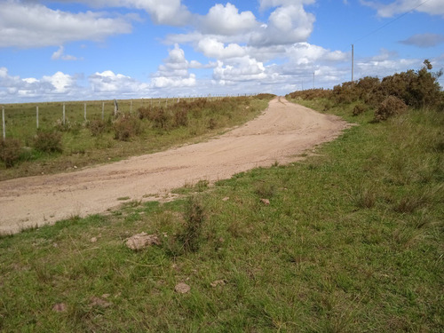 Campo De 140 Hectáreas Con Costa De Arroyo