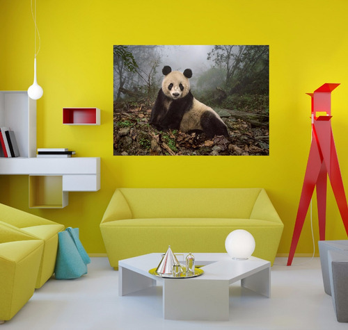 Vinilo Decorativo 40x60cm Oso Panda Bamboo Salvaje Hd