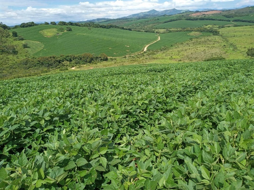 Fazenda A Venda No Sul De Minas Com 470 Ha - Bcp93