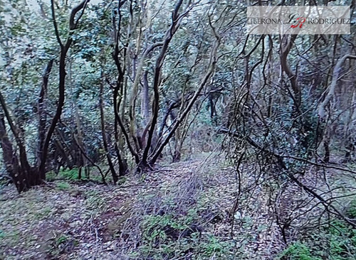 Sitio En Venta En Las Gaviotas, Concón