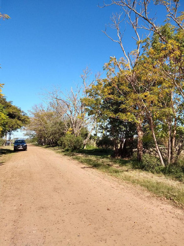 Imagen 3 de 5 de Terreno - Pueblo General Belgrano