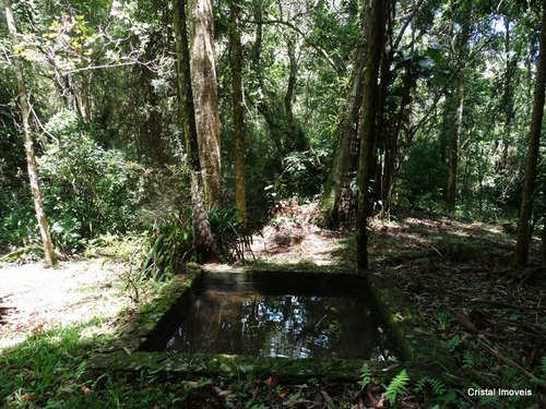 Imagem 14 de 19 de Rural Para Venda, 3 Dormitórios, São Francisco Xavier - São José Dos Campos - 24189