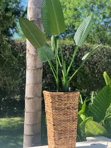 Plantas Artificiales Grande Deco Con Maceta Ave De Paraíso