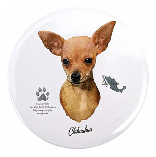 3.5 Inch Button Chihuahua From Toy Group And Mexico