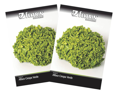 2x Sementes De Alface Crespa Verde Feltrin