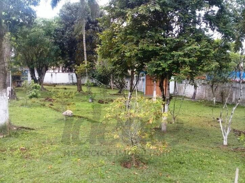 Imagem 3 de 15 de Chácara A Venda Em Itanhaém Ótima Localização - 419