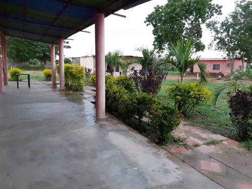 Imagen 10 de 15 de Finca En Venta, San Mateo, Anzoategui