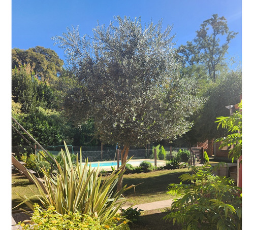 Cabañas Con Piscina En Venta Complejo
