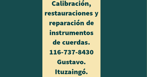 Mantenimiento De Instrumentos De Cuerda