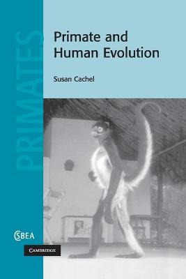 Libro Primate And Human Evolution - Susan Cachel