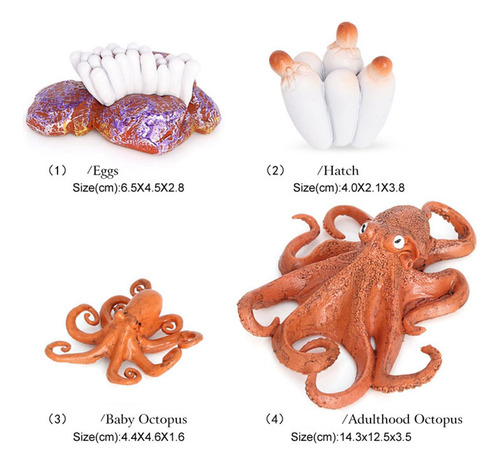 4 Del Ciclo De Vida De Un Pulpo, Insectos Plástico Pulpo