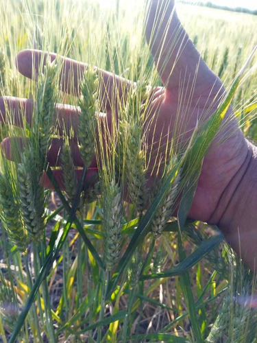 Imagen 5 de 11 de Vendo Campo En La Paz Entre Ríos