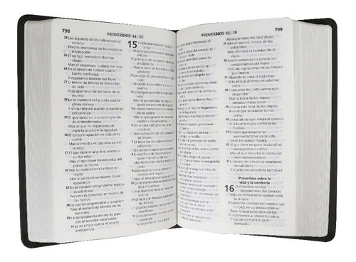 Biblia Letra Grande, Rvr1960, Gris