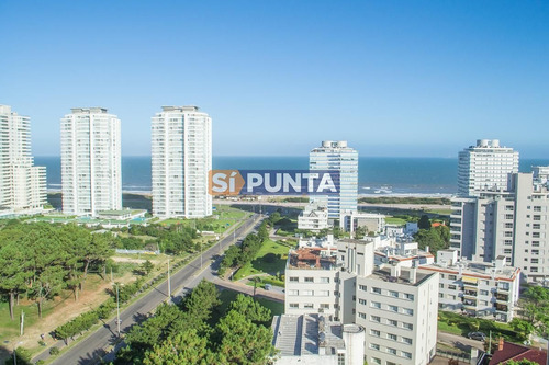 Imagen 10 de 10 de Apartamento En Venta - Brava