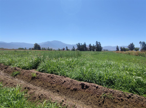Terrenos Agrícolas Con Agua Venta María Pinto Curacavi