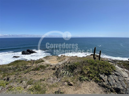 Imagen 4 de 14 de Sitio En Venta En Pichilemu