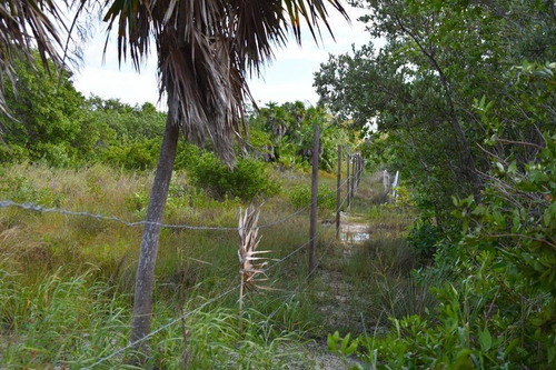 Imagen 9 de 10 de Terreno En Venta Isla Blanca En Laguna Chacmuchuc Cancún