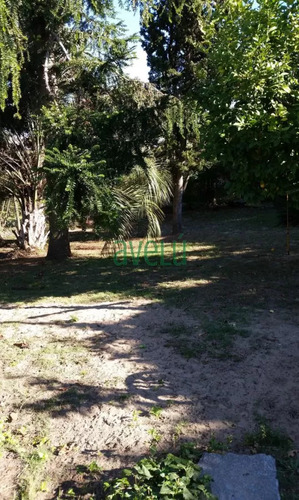 Casa En Altos Del Pinar, 2 Dormitorios *