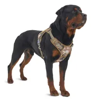 Comprar Arnés Táctico Para Perros Grandes, Sin Tirones, Arnés