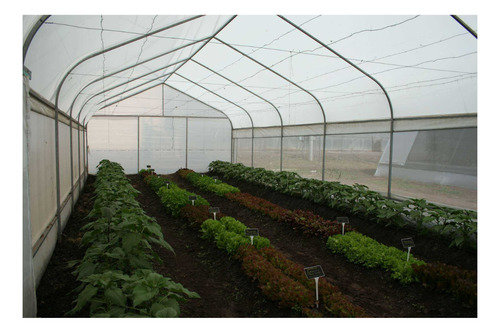 Polietileno Nylon Transparente 4m X 10m Standard Xp Rollo